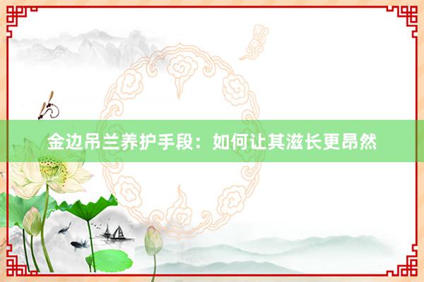 金边吊兰养护手段：如何让其滋长更昂然