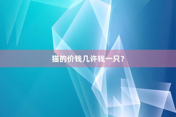 猫的价钱几许钱一只？